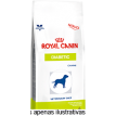 Ração Royal Canin Veterinary Diet Diabetic Cães 1,5kg