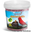 Ração Reino das Aves Gold Red Canário pote 250g